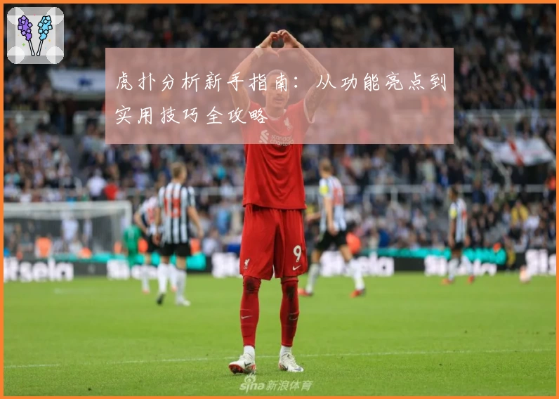 虎扑分析新手指南：从功能亮点到实用技巧全攻略