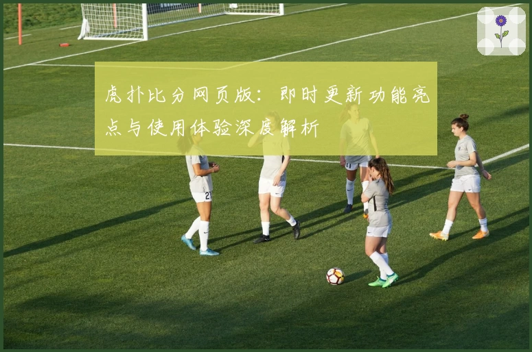 虎扑比分网页版：即时更新功能亮点与使用体验深度解析