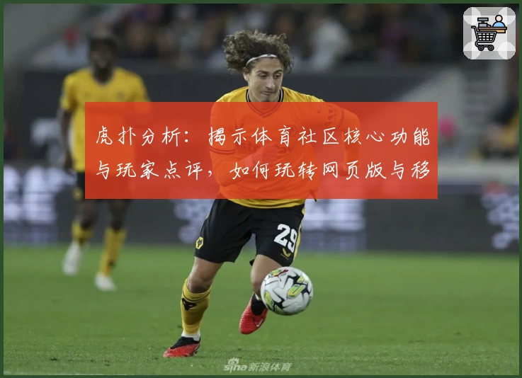 虎扑分析:揭示体育社区核心功能与玩家点评,如何玩转网页版与移动端